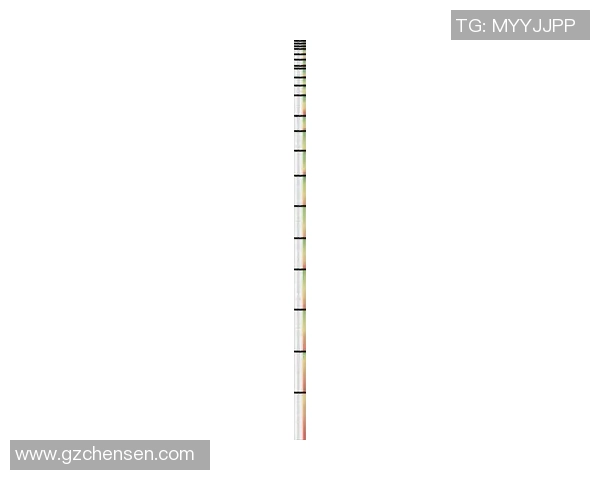 2025年足球圈球星排名前十名深度解析与新星崛起趋势