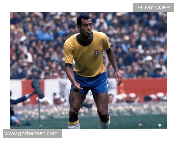 史上十大足球球星排名揭晓 谁是最伟大的足球传奇人物 史上十大足球球星排名揭晓 谁是最伟大的足球传奇人物